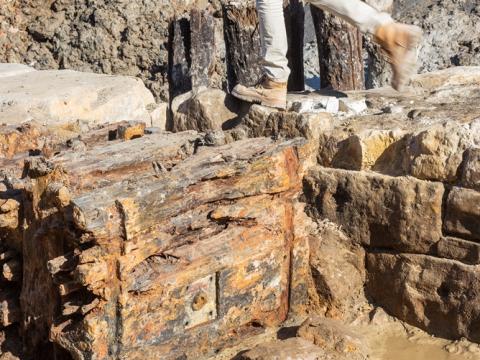 A close up look at part of the old boat found in sandstone at the site of the future Barangaroo Station.