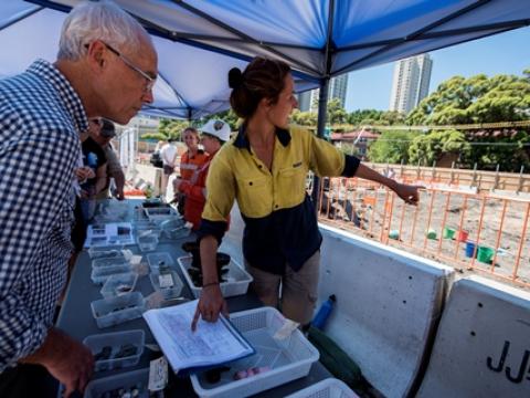 Sydney Metro employees showing community members the archaeological artefacts found at Waterloo Station pointing at a list of artefacts and where on the construction site behind them they were found. 