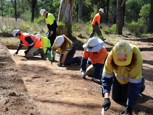 7 archaeologists and Aboriginal community representatives are at work on an archaeological dig site.