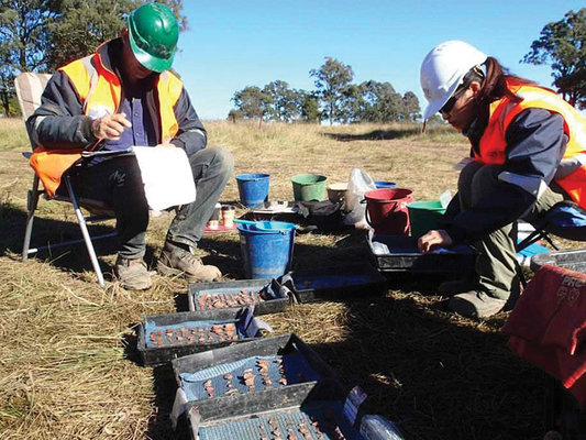Archaeologists creating a catalogue of Indigenous artefacts